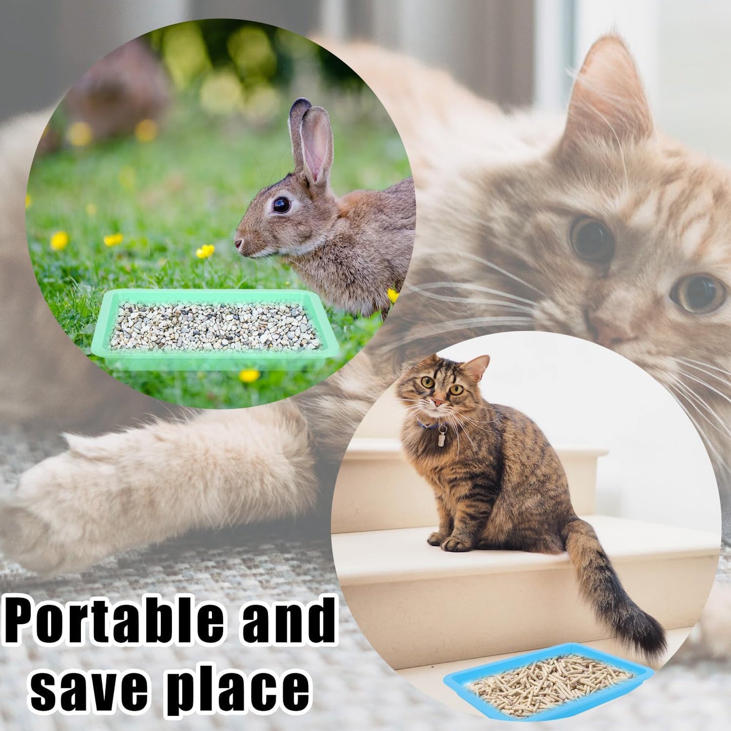 5pcs Shallow Cat Litter Boxes - Plastic Cat Litter Trays & Pans for Indoor Kittens (5 Colors)