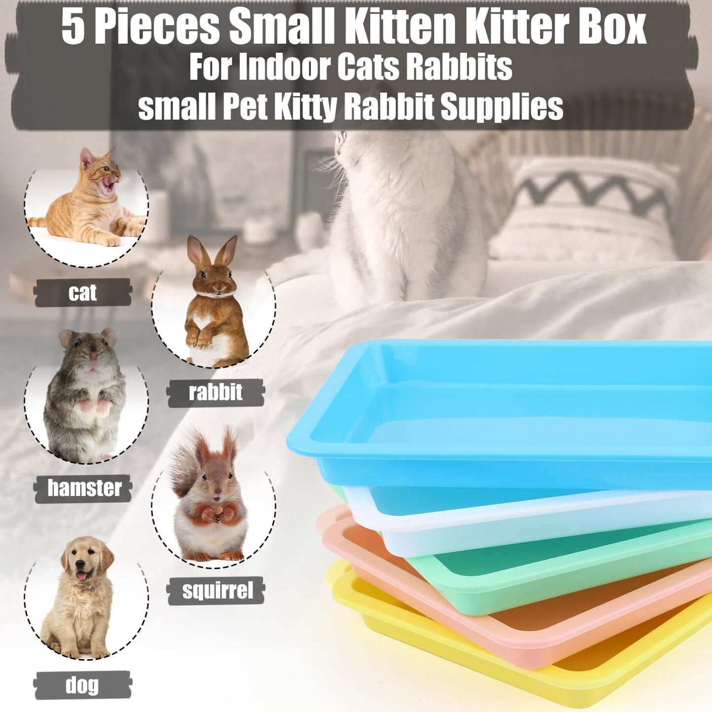 5pcs Shallow Cat Litter Boxes - Plastic Cat Litter Trays & Pans for Indoor Kittens (5 Colors)