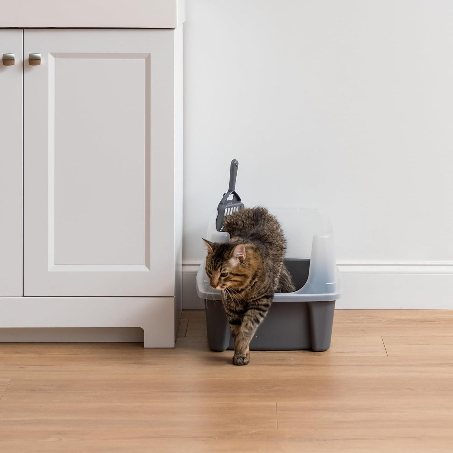 Large Cat Litter Box with Scatter Shield and Scoop, Open Top High Sided Cat Litter Pan, Gray/Clear