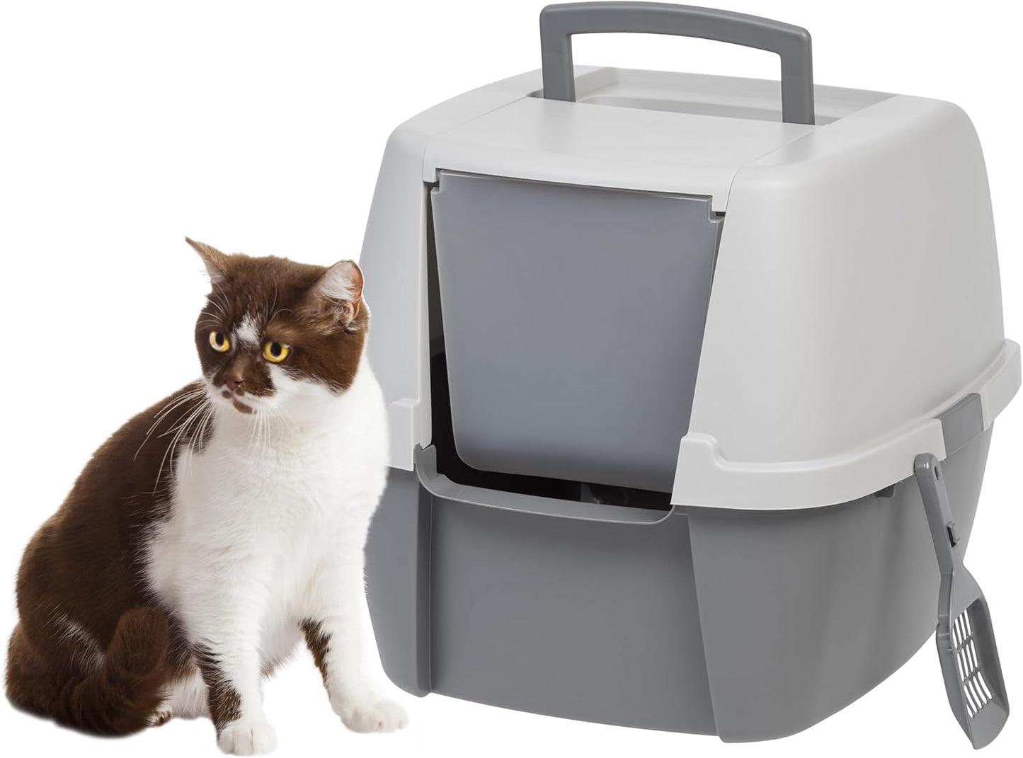 Cat Litter Box with Front Door Flap and Scoop, Covered Kitty Box with Handle and Buckles for Portability and Privacy, Dark Gray