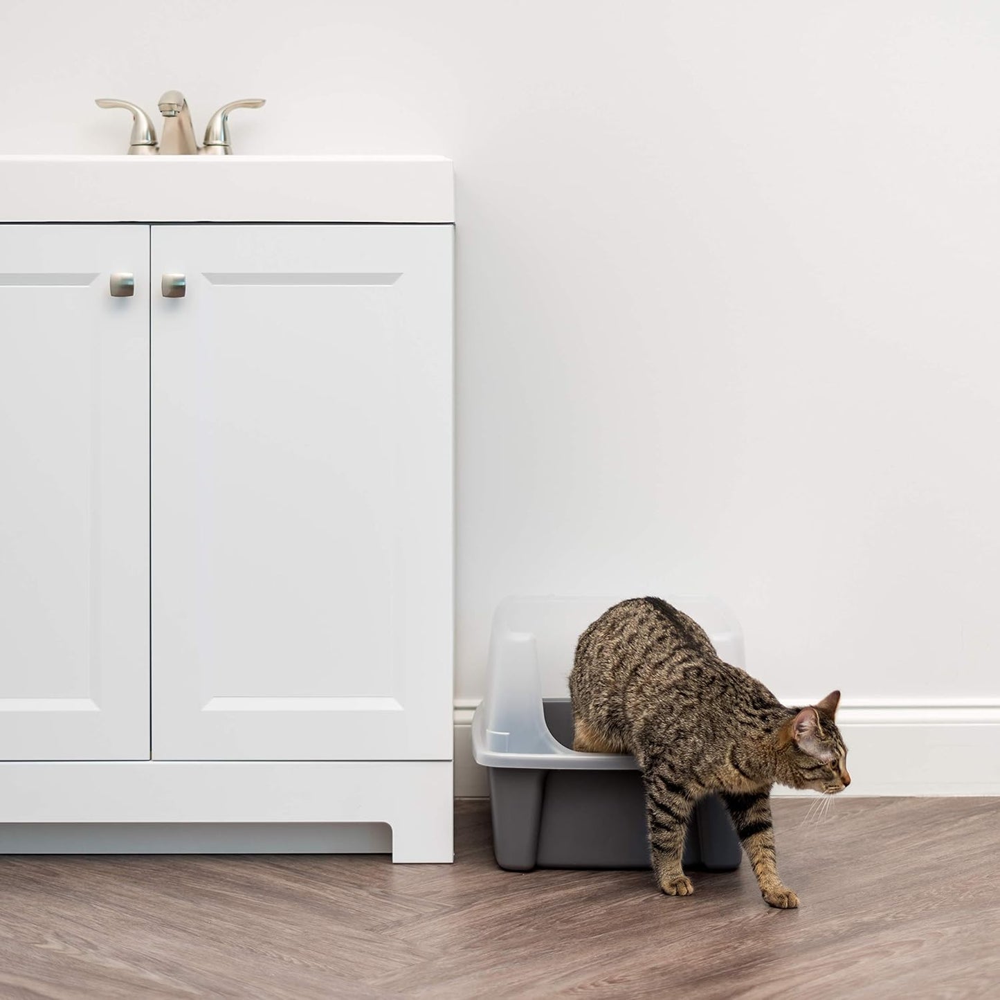 Large Cat Litter Box with Scatter Shield and Scoop, Open Top High Sided Cat Litter Pan, Gray/Clear